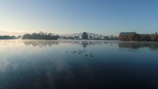 早晨，城里湖面上的一群野鸭