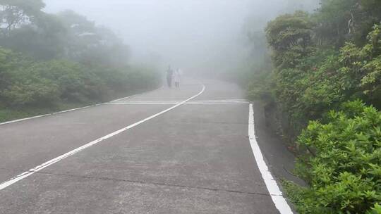 徒步 爬山  雾海   梧桐山