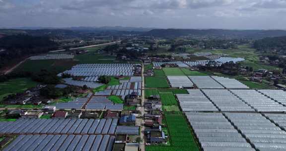 4K高清实拍蔬菜基地大棚农村乡村振兴