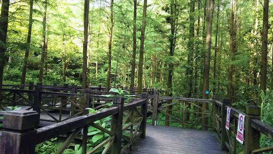 广西南宁狮山公园竹影桥风雨桥湖景风光视频素材模板下载