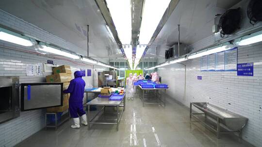 食品工厂加工海鲜扇贝车间工人视频素材模板下载