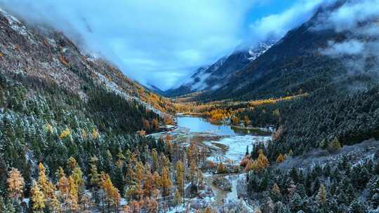 雪山下多彩树林与湖泊相映的美景