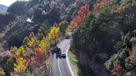 四明山 盘山公路 秋色 秋天 余姚