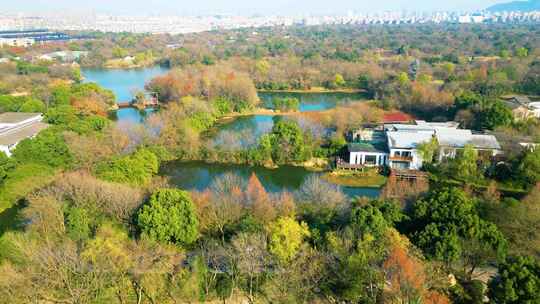 杭州西湖区西溪湿地自然风景视频素材