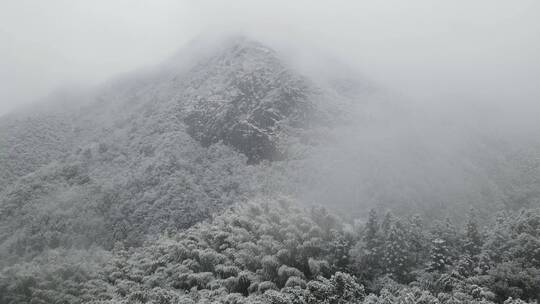 庐山大雪航拍4K