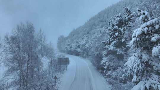 东北冬天黑龙江亚雪公路