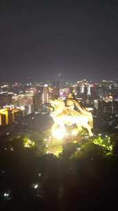 竖版视频福建泉州夜景丰泽区夜景