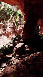 一个天然洞穴，拥有令人惊叹的岩石构造和茂