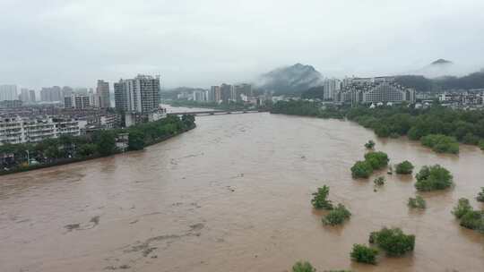 2024年6月下旬黄山市暴雨后洪水来袭