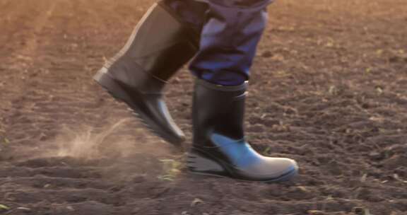 橡胶靴，步行，农民，腿
