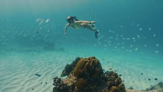 比基尼美女潜水鱼群魔鬼鱼珊瑚礁大海阳光