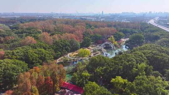 上海 共青森林公园 秋景