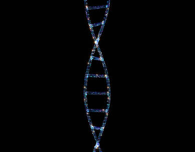 DNA螺旋线循环带通道4K