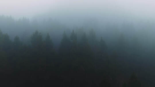 航拍清晨朦胧山林浓雾