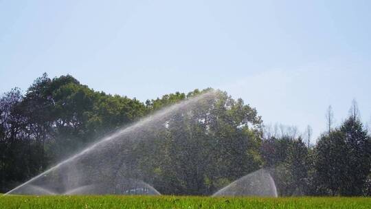 城市草坪洒水喷水逆光升格视频视频素材模板下载