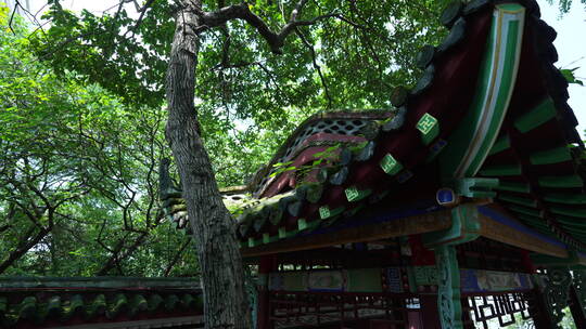 武汉汉阳区晴川阁