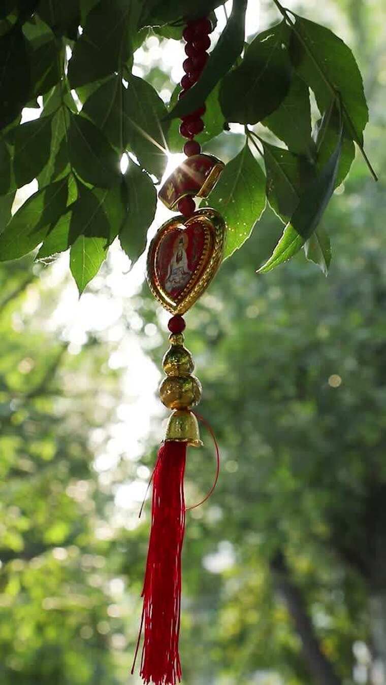 挂在树叶间的爱心形祈福挂件