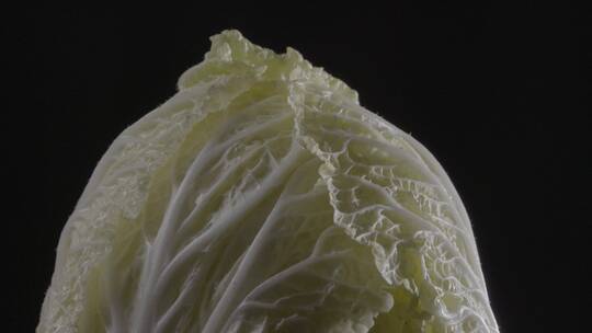 影棚实拍一颗大白菜LOG视频素材