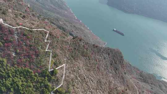 长江三峡巫峡红叶