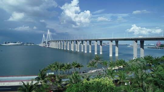 航拍湛江海湾大桥_中央商务CBD_4K城市风光视频素材模板下载