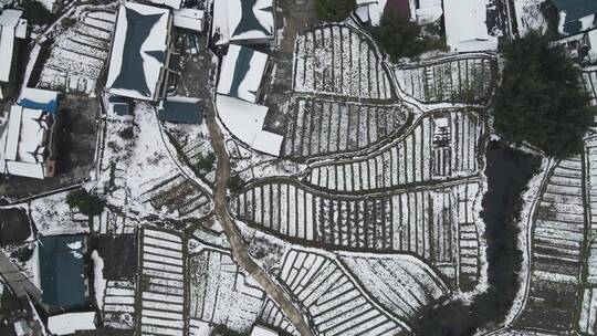 航拍 农田 农业大棚  种植 冬天 雪景视频素材模板下载