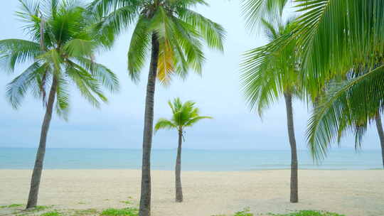 海边椰树沙滩 海滨公园 海南三亚