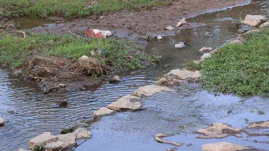 水污染 河流垃圾  环境污染 污水排放视频素材模板下载