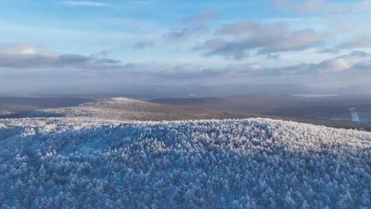 冰雪覆盖的山林远景