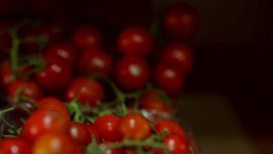 西红柿洋柿西红柿番茄番茄特写