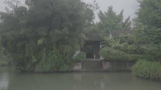 杭州西溪湿地水上芦苇荡游船风光