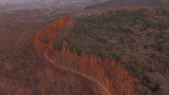 河北 石家庄 井陉县 道路 交通 秋天