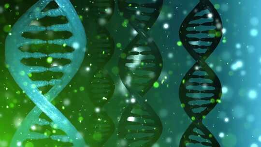 DNA螺旋染色体基因链