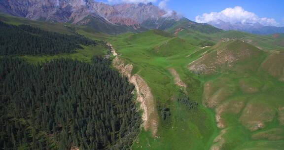 航拍高山森林草原自然景观