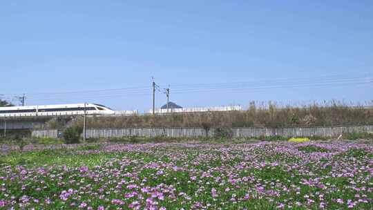 高铁动车列车高铁经过春天春暖花开田野乡村