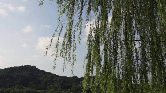 杭州西湖风景区白堤风景