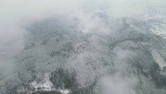 航拍 山间 森林 云雾 冬天 雪景视频素材模板下载