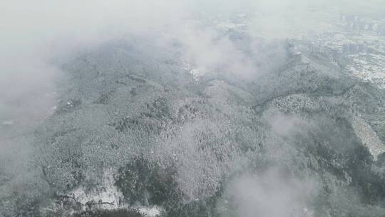 航拍 山间 森林 云雾 冬天 雪景