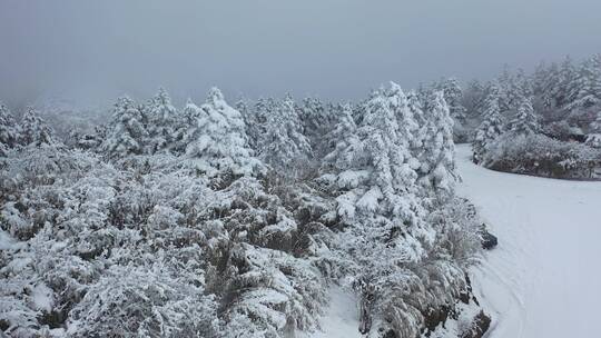 航拍湖北神农架冬季冬天冰雪雪松雪景