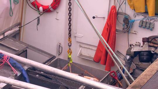 鱼在挪威码头视频素材模板下载