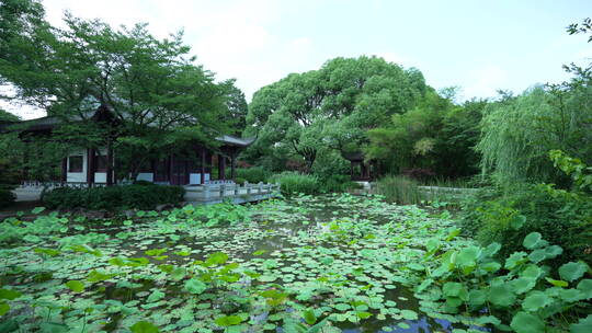 武汉东湖风景区湖北书画院