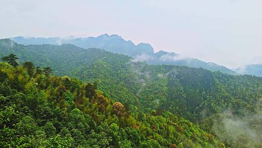 江西井冈山