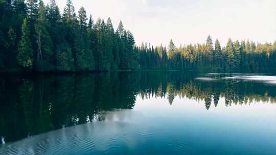 湖水微澜 倒影松柏 自然柔美光景