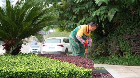 园林工人给花草剪枝视频素材模板下载