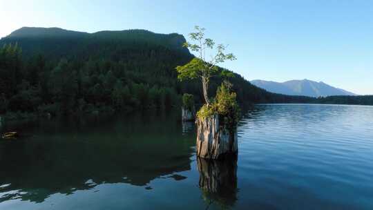 湖，桨板，观点，运动