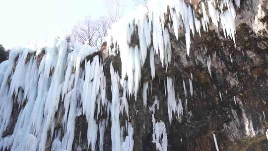 冰瀑 瀑布 沕沕水景区冰瀑 景点