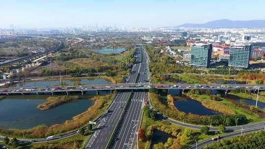 城市交通与水域生态融合的景象