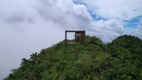 航拍深圳盐田菠萝山雨后生态自然风景