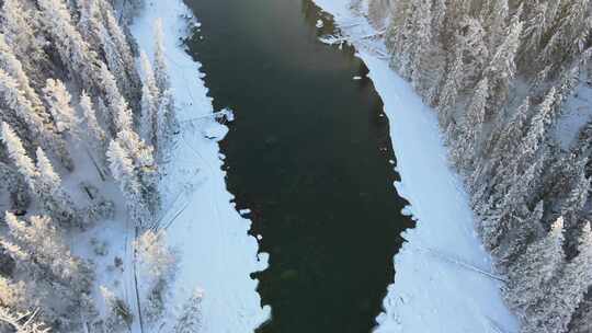 冬天新疆阿勒泰禾木喀纳斯雪景