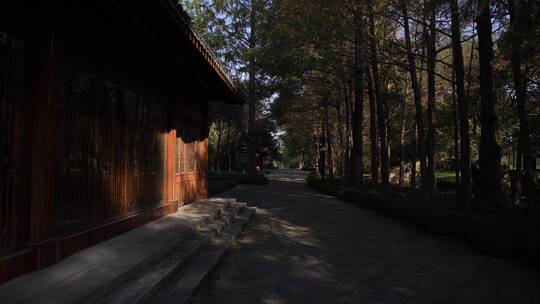 杭州西湖十景茅家埠水乡风景