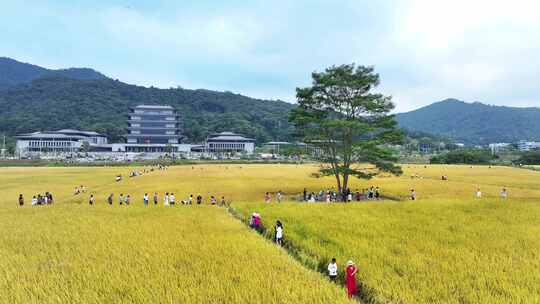 中国广东省广州市从化区广州国家版本馆